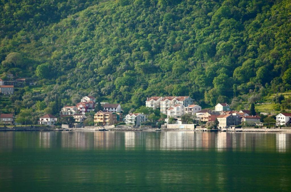 Ana Apartment Kotor Exterior photo